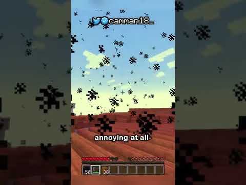 playing the best minecraft version…
