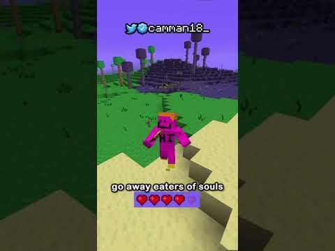 terraria IN MINECRAFT