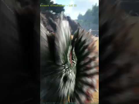 THE SWORDS IN THIS GAME! | ARK:SURVIVAL EVOLVED #shorts#arksurvivalevolved#arksingleplayer