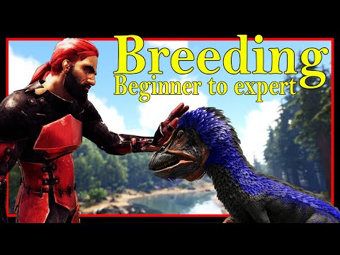 The Ultimate Breeding and Mutations Guide 2022 – Ark survival Evolved