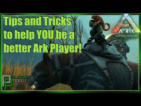 TIPS EVERY ARK PLAYER SHOULD KNOW in 2022