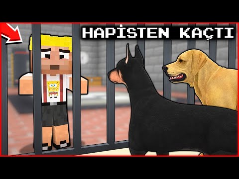 EFEKAN HAPSE GİRDİ, KÖPEK ÇETESİ HAPİSTEN KAÇIRDI! 😱 – Minecraft