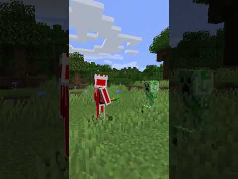 Guess the Type of Minecraft Player!