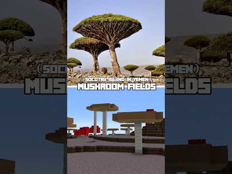 Minecraft Biomes in Real Life!