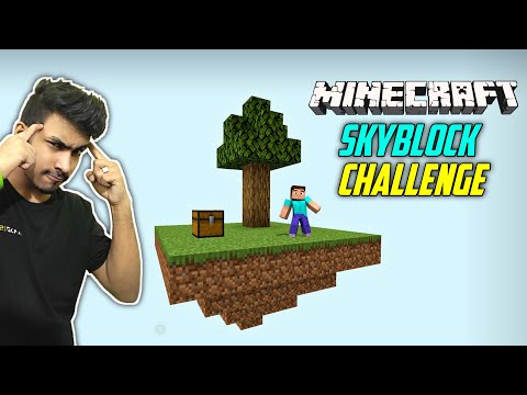 MINECRAFT SKYBLOCK CHALLENGE | ROAD TO 2 MILLION